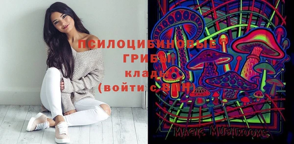 дживик Алексин