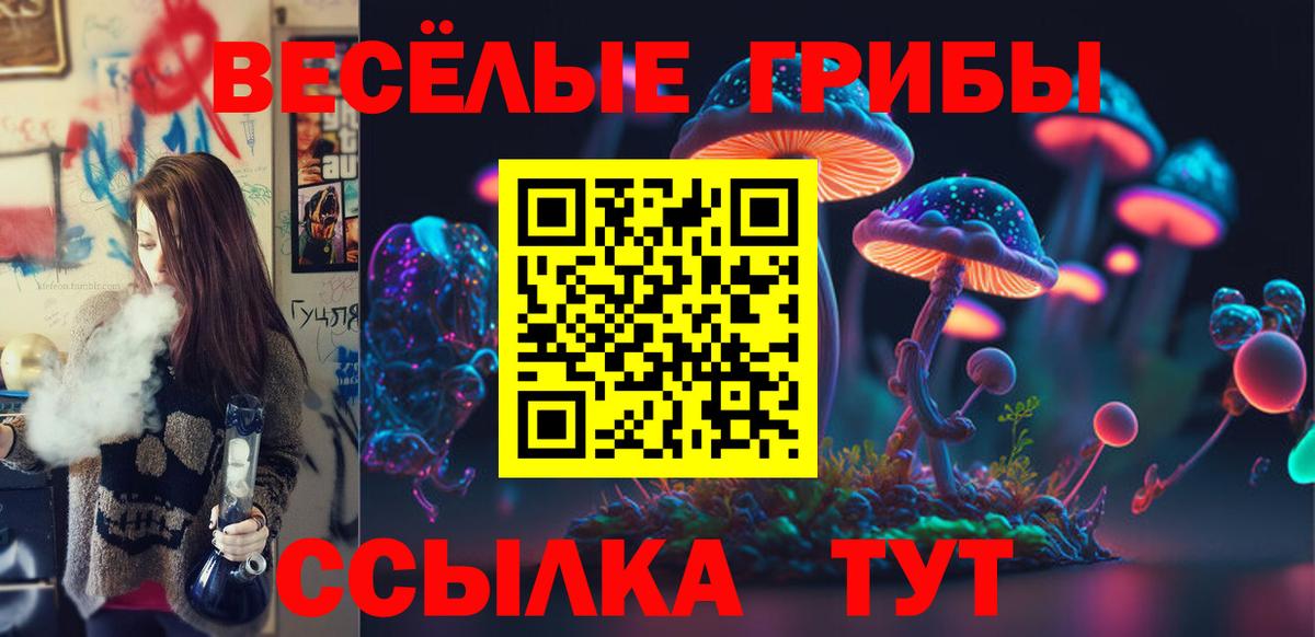 Алушта  купить   Вход с VPN  Псилоцибиновые грибы GOLDEN TEACHER 