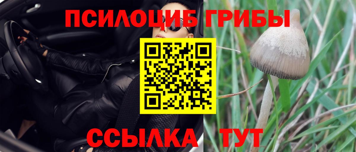 Галлюциногенные грибы MAGIC MUSHROOMS  Галлюциногенные грибы прущие грибы  Алушта  Вход с VPN 