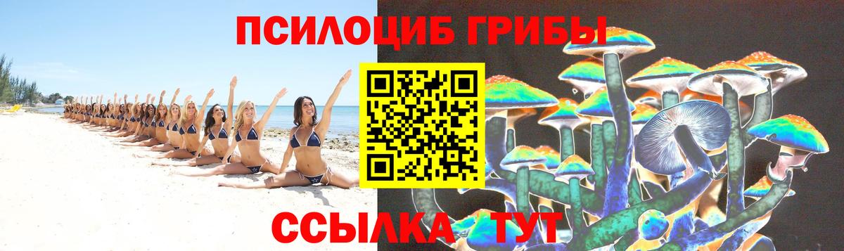 Псилоцибиновые грибы мицелий Алушта